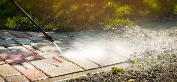 Best Dumpster Area Cleaning  in North Oaks, MN