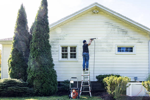 Spring Cleaning in North Oaks, MN